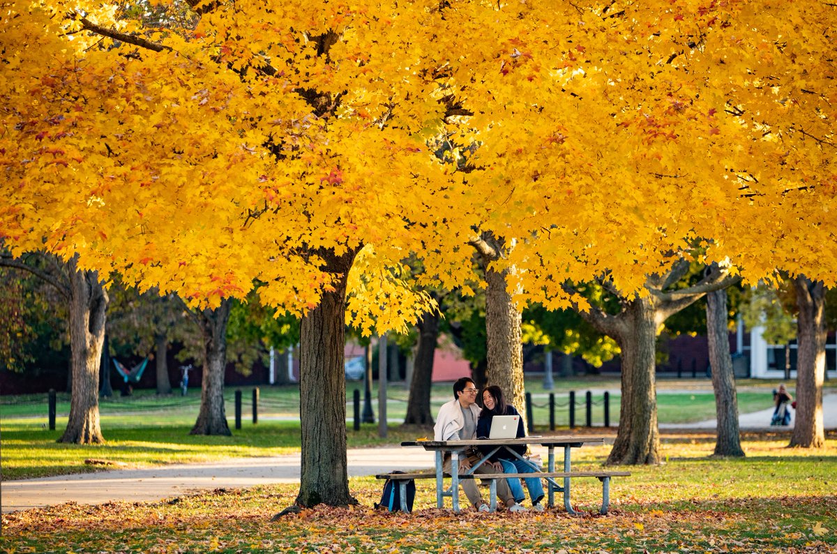 UofIllinois's tweet photo. The leaves turned orange just for you, Illini. https://t.co/7ewhrX9Hlb