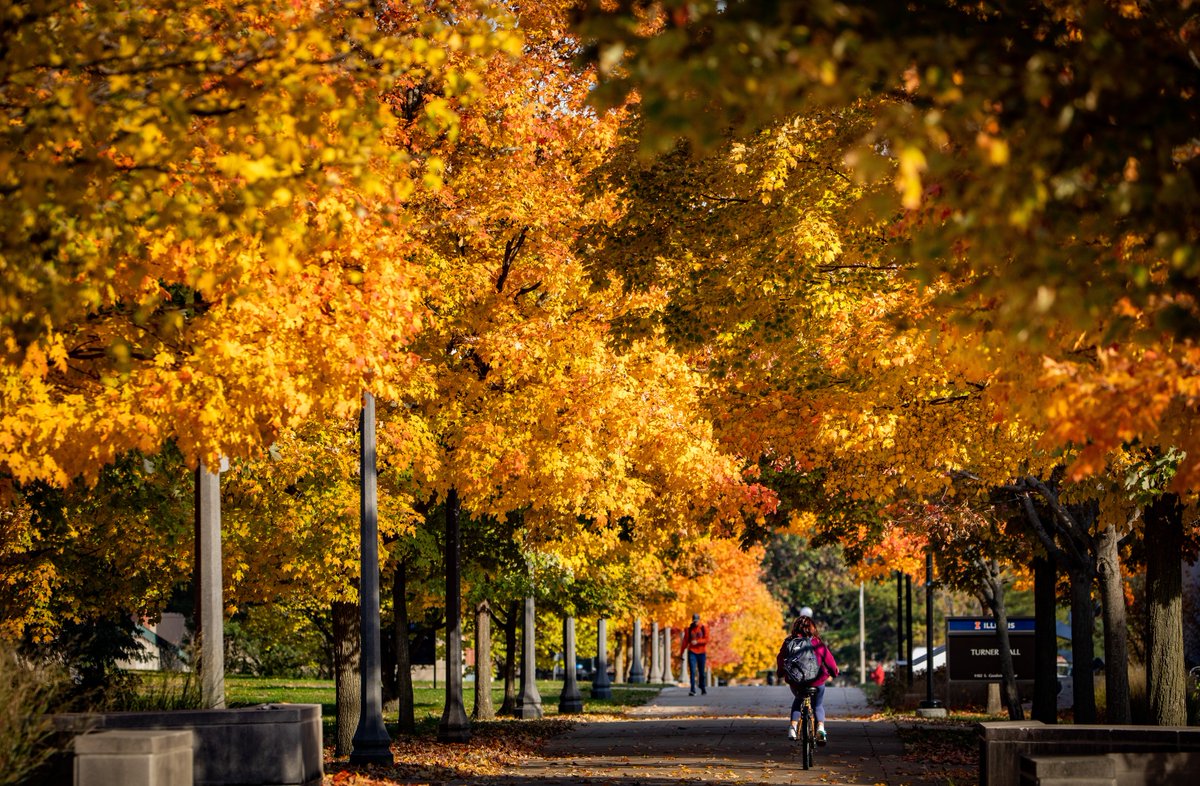 UofIllinois's tweet photo. The leaves turned orange just for you, Illini. https://t.co/7ewhrX9Hlb