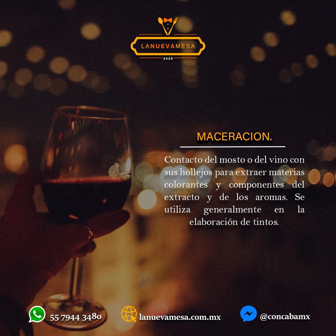 Aprende este y otros datos interesantes en nuestras certificaciones-Diplomados. 

¡Contáctanos en estos teléfonos!
Informes. 👇
👉5616322755
👉5539306679
#concabamx #sommelierprofesional #aprendiendodevinos #winelover 
#conocimientodaseguridad
#LaNuevaMesa