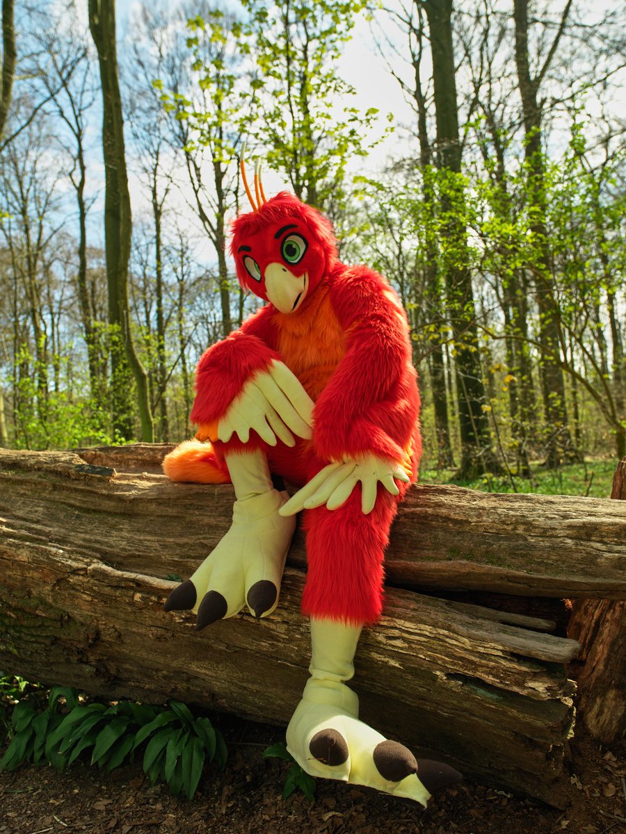 Heya. Just wanna pop in this early night and wish you a good #FursuitFriday you cuties :3
Treat yourself to something good today since it's a #NoBonesDay
You all deserve it ^^
🪡🧵🦜@AlphaDogsStudio
📸 @ServalDog