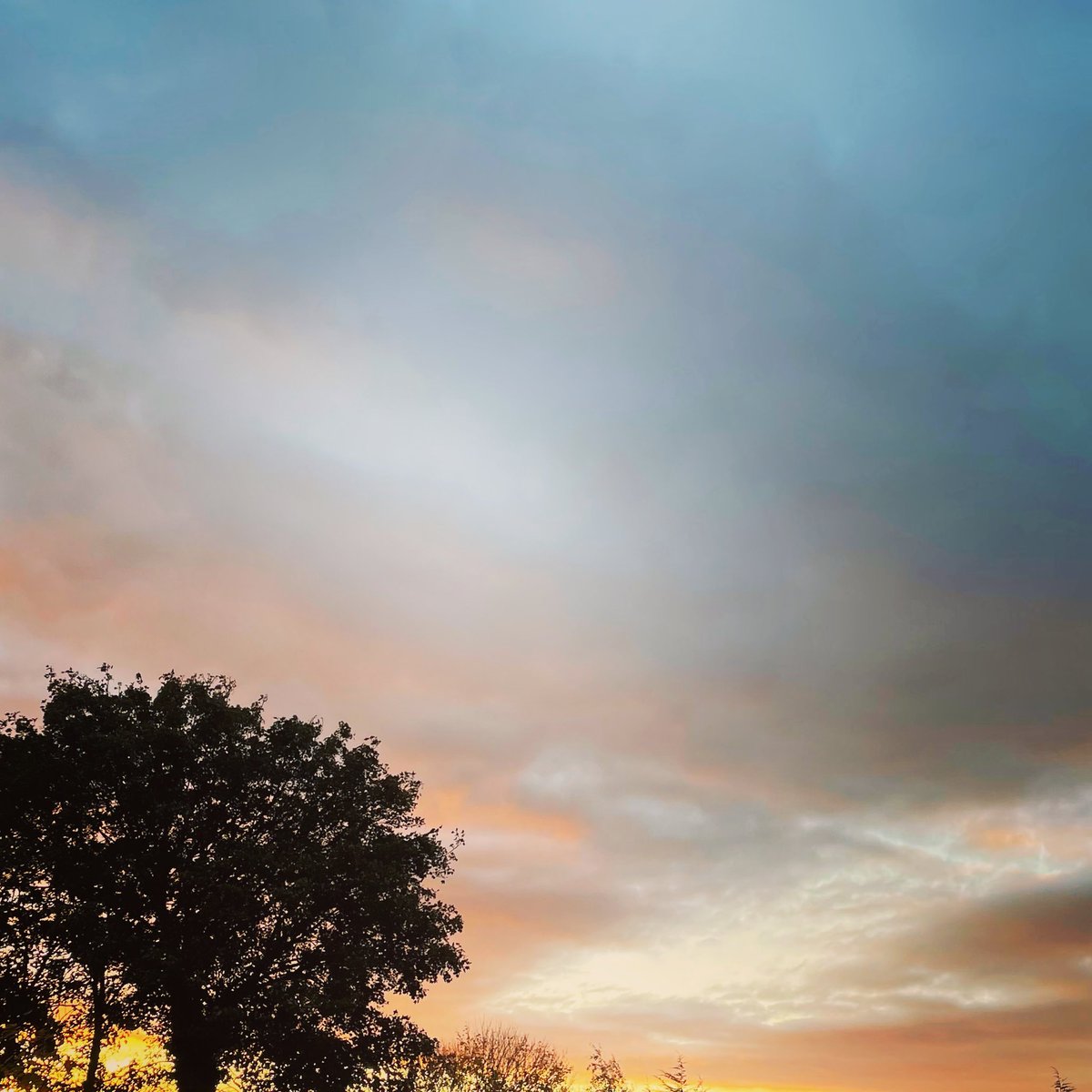 Clouds.

How has your week been?