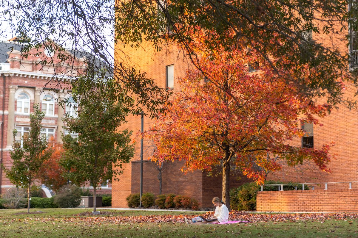 msstate's tweet photo. Autumn leaves are falling down like pieces into place on this beautiful #MaroonFriday.🧣 🍂 https://t.co/F1LPdAW2Oe