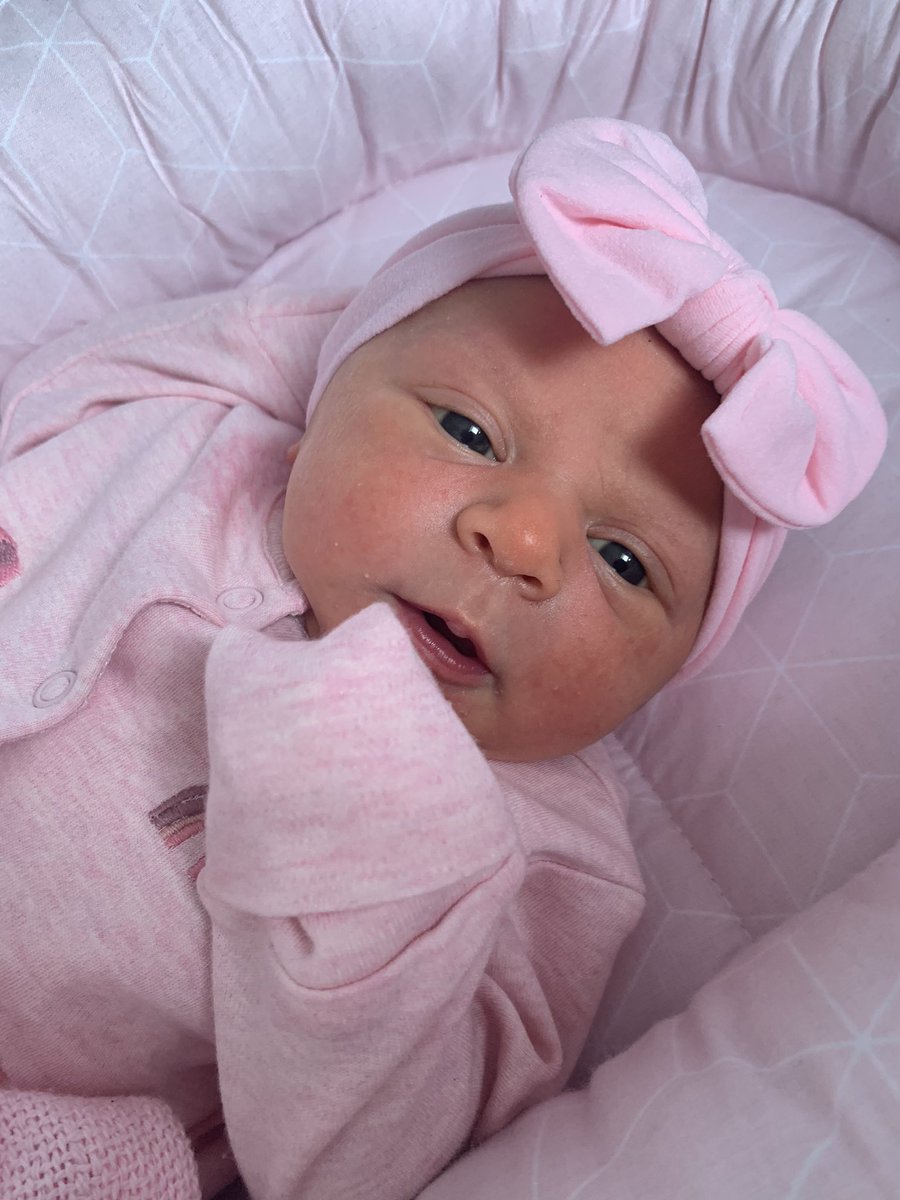 shannon_mott's tweet photo. Our beautiful girl River 🎀💗 @jakeJTR https://t.co/FscxZyrGSb