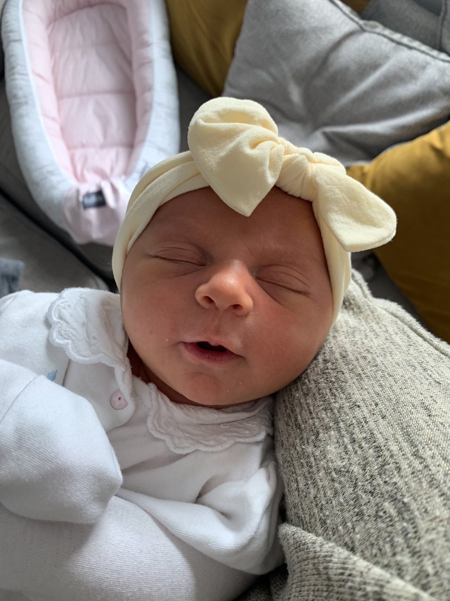 shannon_mott's tweet photo. Our beautiful girl River 🎀💗 @jakeJTR https://t.co/FscxZyrGSb