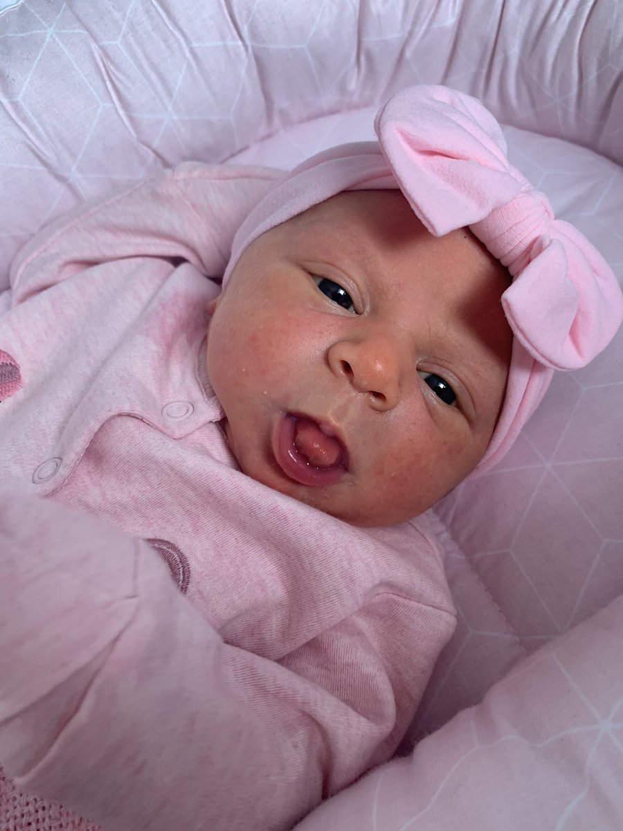shannon_mott's tweet photo. Our beautiful girl River 🎀💗 @jakeJTR https://t.co/FscxZyrGSb