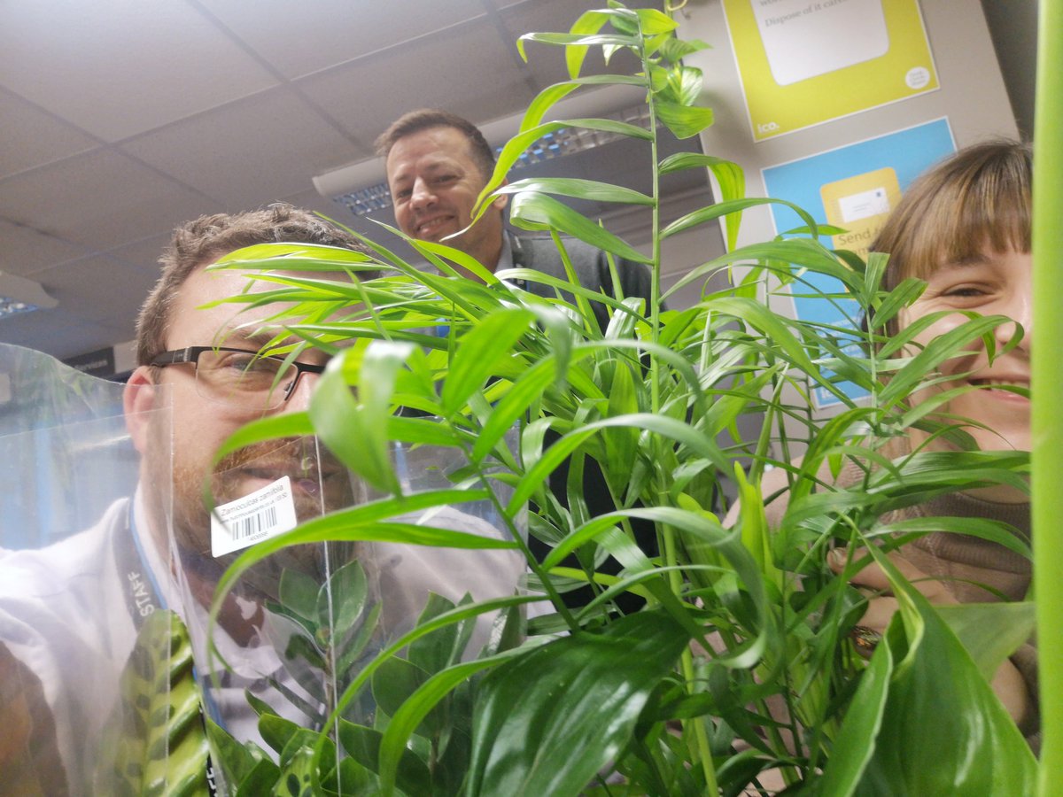 am_innovator's tweet photo. Just taken delivery of our little corner of greenery from #HutchHousePlants (exeter)

Welcome to Room 101 little office friends.

#LetsGetSustainable #COP26 #DownWithCO2 https://t.co/JLaS0kmgPY