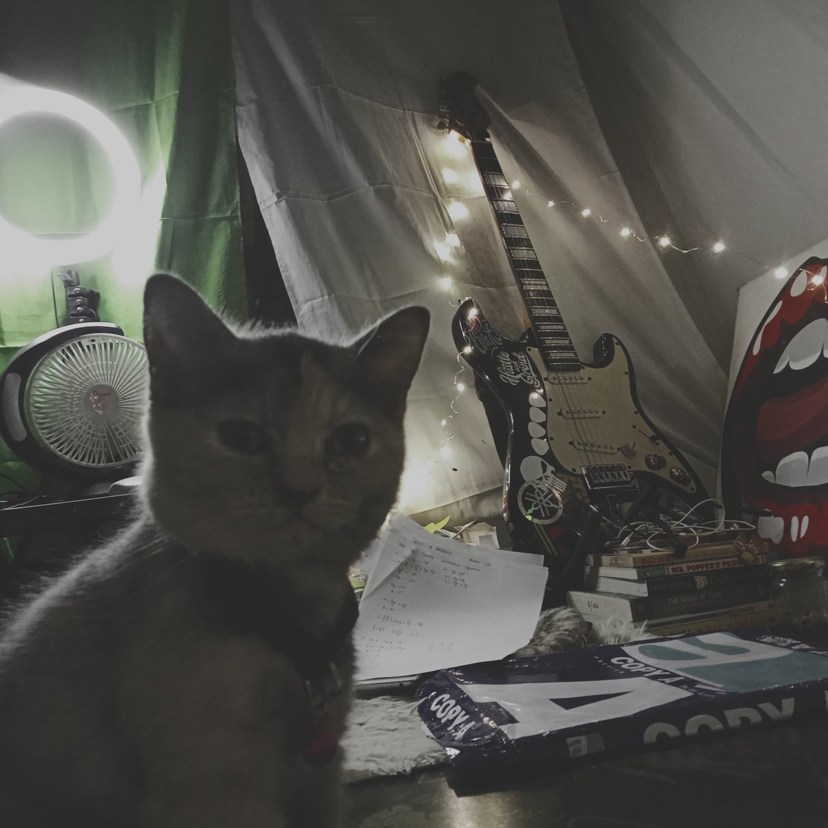 delinquentbtch's tweet photo. my everything https://t.co/lHOYuzqPcb