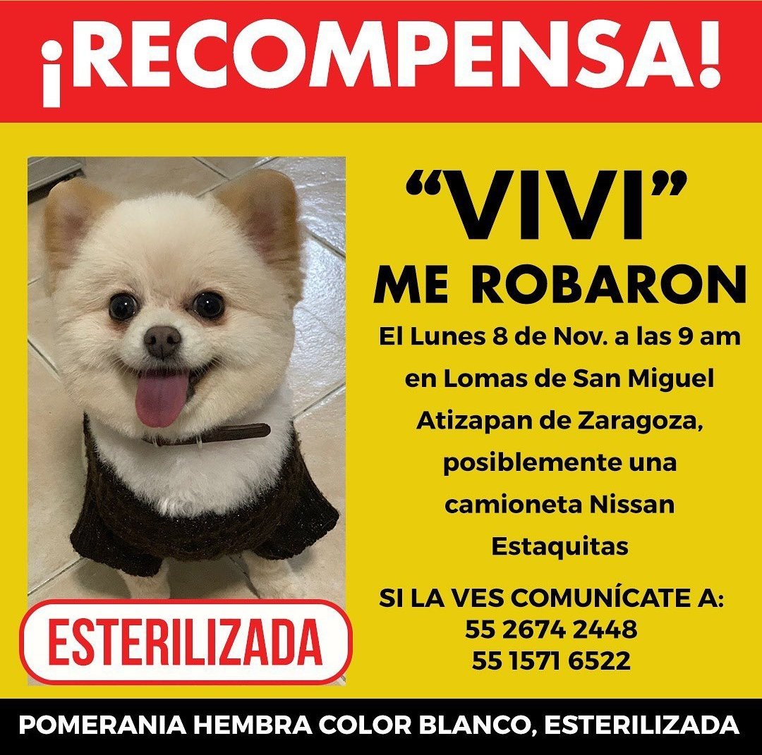 Suzu_LaPajarita's tweet image. Ayuda con rt.