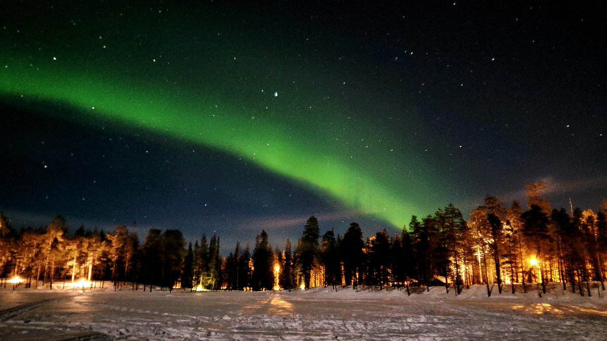 RoarLoud tweet media