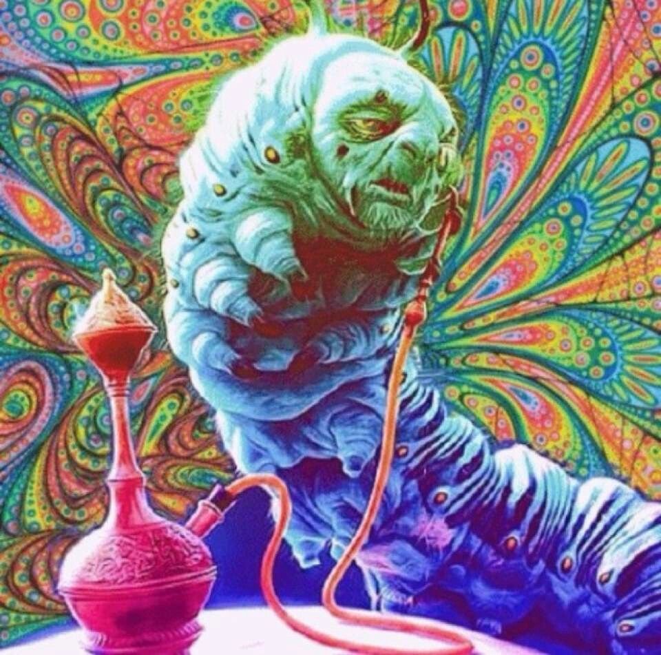 BioTay's tweet photo. 1/9 Lucy in the Sky with Diamonds!
Los psicodélicos invierten el sentido del flujo de información en el cerebro; bajo sus efectos, pasamos de depender de nuestras predicciones del mundo a experimentar sin prejuicios. Lo explico en unos pocos tweets (paper) https://t.co/mxd5MxUMO2 https://t.co/CYuddDygsR