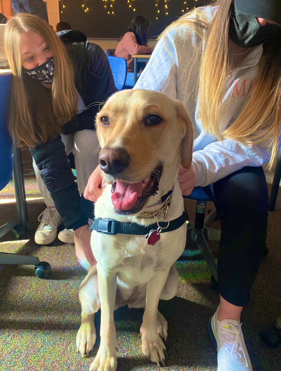 mschandlerbrown's tweet photo. Today’s the day!!! Yearbook deadline number one! Our fall pages are headed to the plant this weekend. We brought Daisy in to relieve some of the stress on our staffers, and as a reward for a job well done! 

#NoviPride https://t.co/6ibdDQa7KG