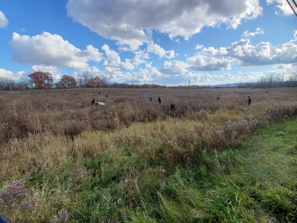 Hopkins tract bare root planting - The site includes small, restored wetland features and pit and mound forest restoration.

So excited to take part in another amazing project with <a href="/ConservHalton/">Conservation Halton</a>.

Thanks to <a href="/HamiltonHarbour/">Retired Account - Bay Area Restoration Council</a> for always getting me out and volunteering!