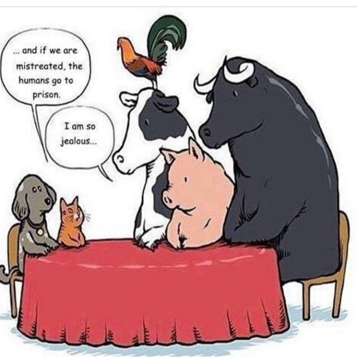 this cartoon holds a mirror up to human inconsistency of thought