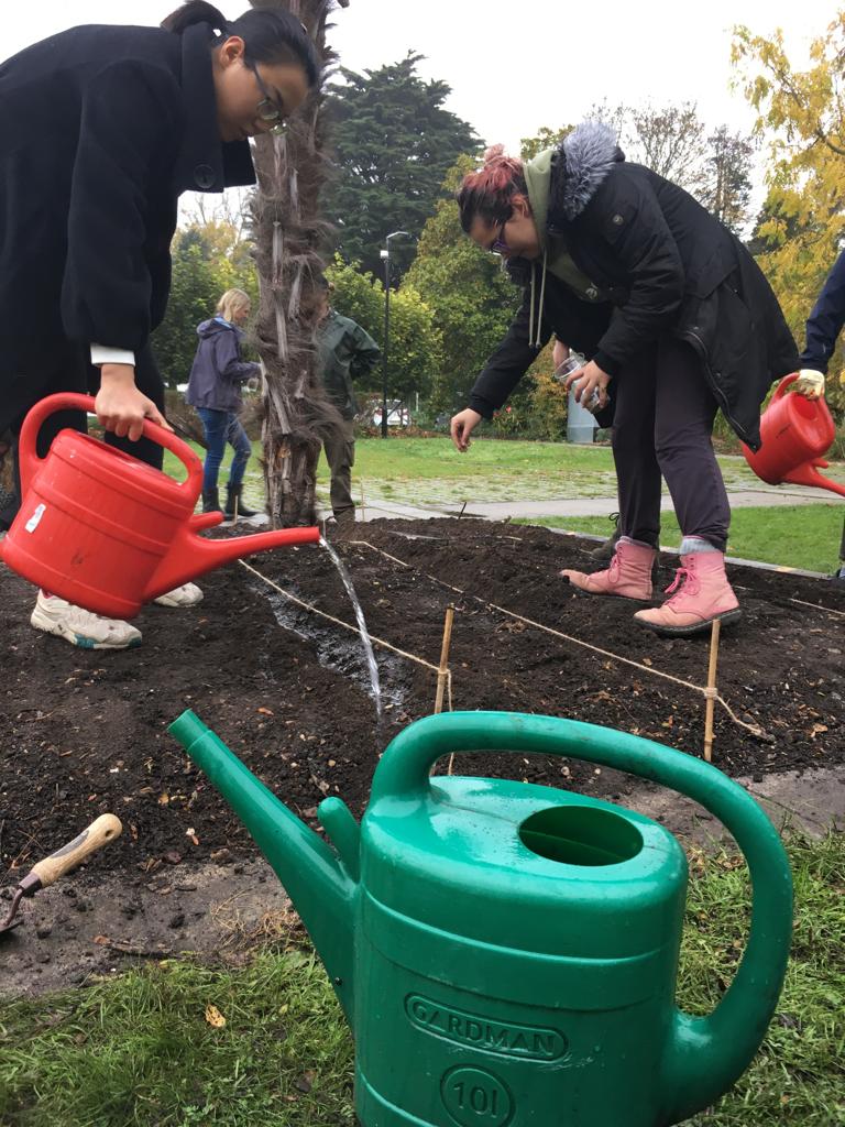 MECCambridge's tweet photo. This week we held our first Planting Day in College. Students came to destress by sowing some spinach seeds, snacking on tea and biscuits, and chatting with the gardeners. We hope to hold another one soon! βΊοΈ π± πͺ
#DomeIsHome #Medwards #CambridgeUniversity #Gardening https://t.co/hi8nC05ahf