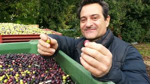 titrespresse's tweet photo. (France Bleu): Le moulin #Ollier de #Barbentane tourne à plein régime cet automne : Au moulin Ollier à 15 minutes d'Avignon, Jean-Roch fabrique ses cuvées d'huile d'olive mais presse aussi les fruits de particuliers. Jusqu'à 100.. https://t.co/tVGQ8t1g5r https://t.co/3e3zjXF15H