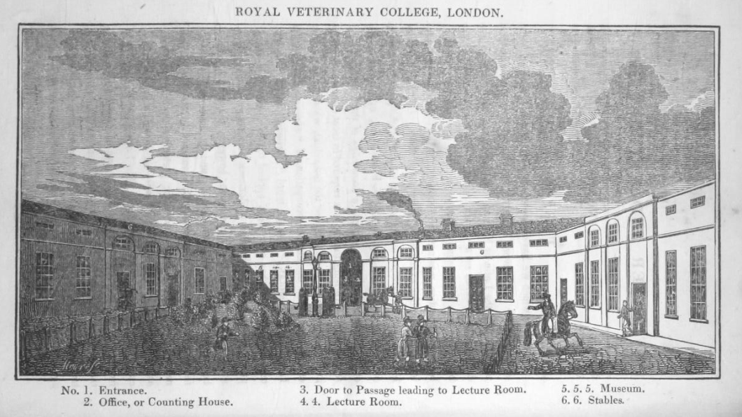 RCVSKnowledge's tweet image. Want to know how veterinary science was taught exactly 200 years ago? Well, you're in luck! Read our latest blog post about Edward Coleman's RVC lectures - dating from 12th November 1821. Don't worry - we're transcribing them for you too 😊 #vetarchives bit.ly/ColemanLectures