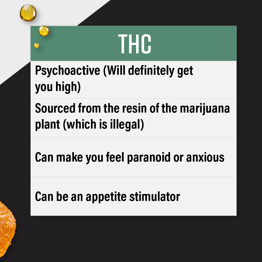 CBD vs. THC - what is the difference? 🤔
Both come from the same plant, but are different in so many ways! Check out the graphic to learn more about CBD and THC 🌿
#CBD #THC