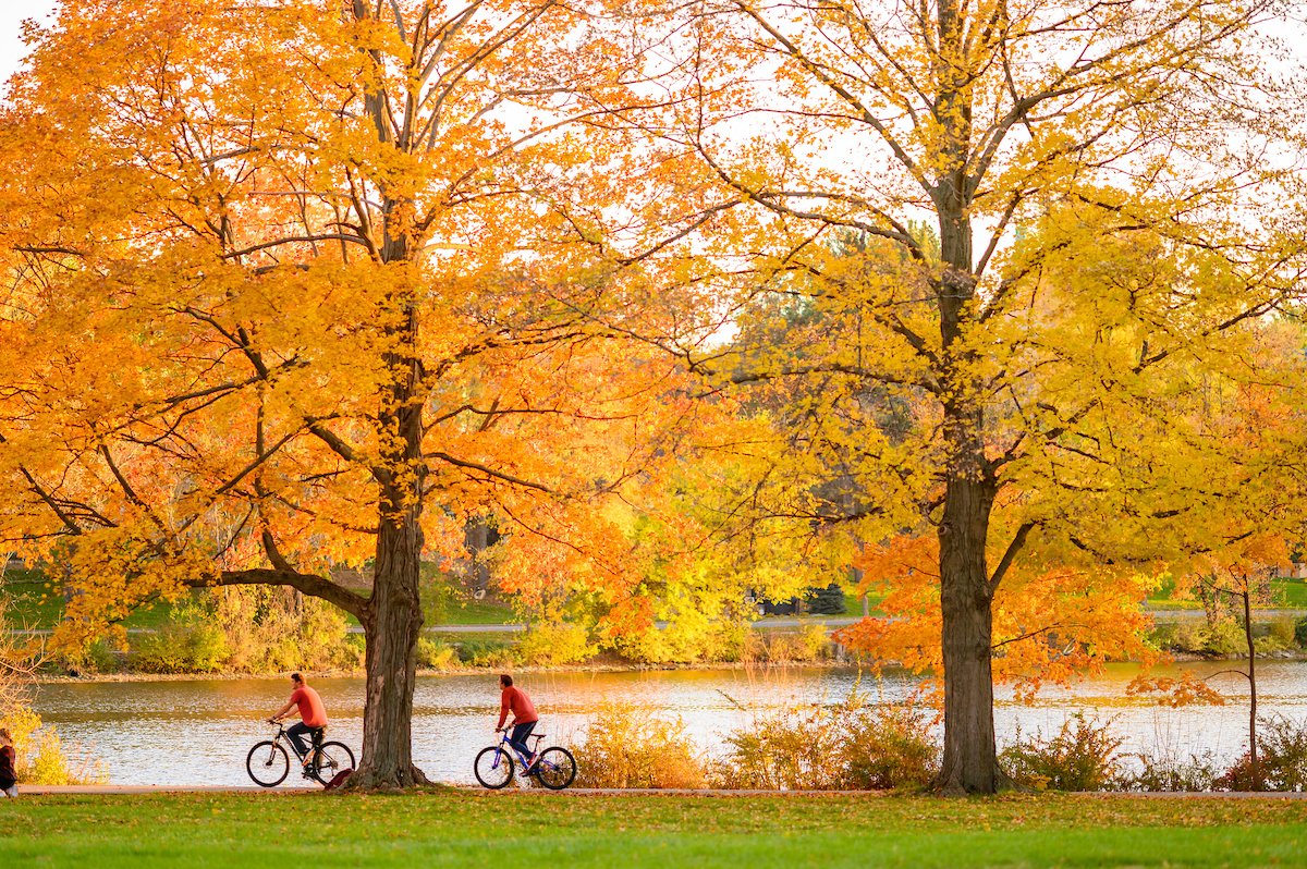 NDAlumni's tweet photo. The trees at Saint Mary’s Lake popped with gold one final time for Notre Dame students to enjoy before winter. https://t.co/XcGvXdIpsv
