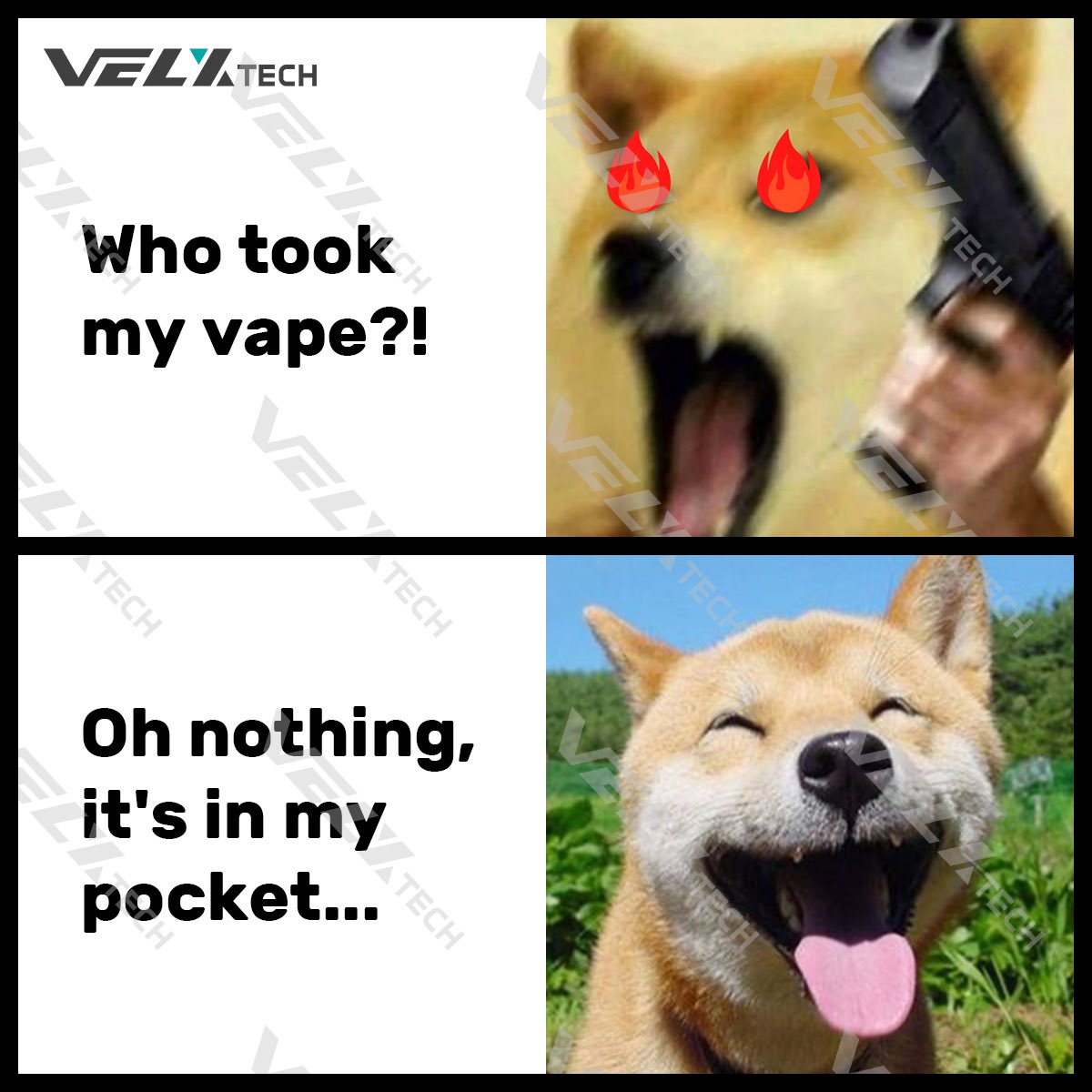 velxtech's tweet photo. Happy Friday 😆😀
#cbd #cbdoil #CBDvape #cbdhemp #health #lovecbd #hemplife #hemp #healthylifestyle  #cbdmeme #cbduk #cbdusa #velxtech https://t.co/y0U0weS640