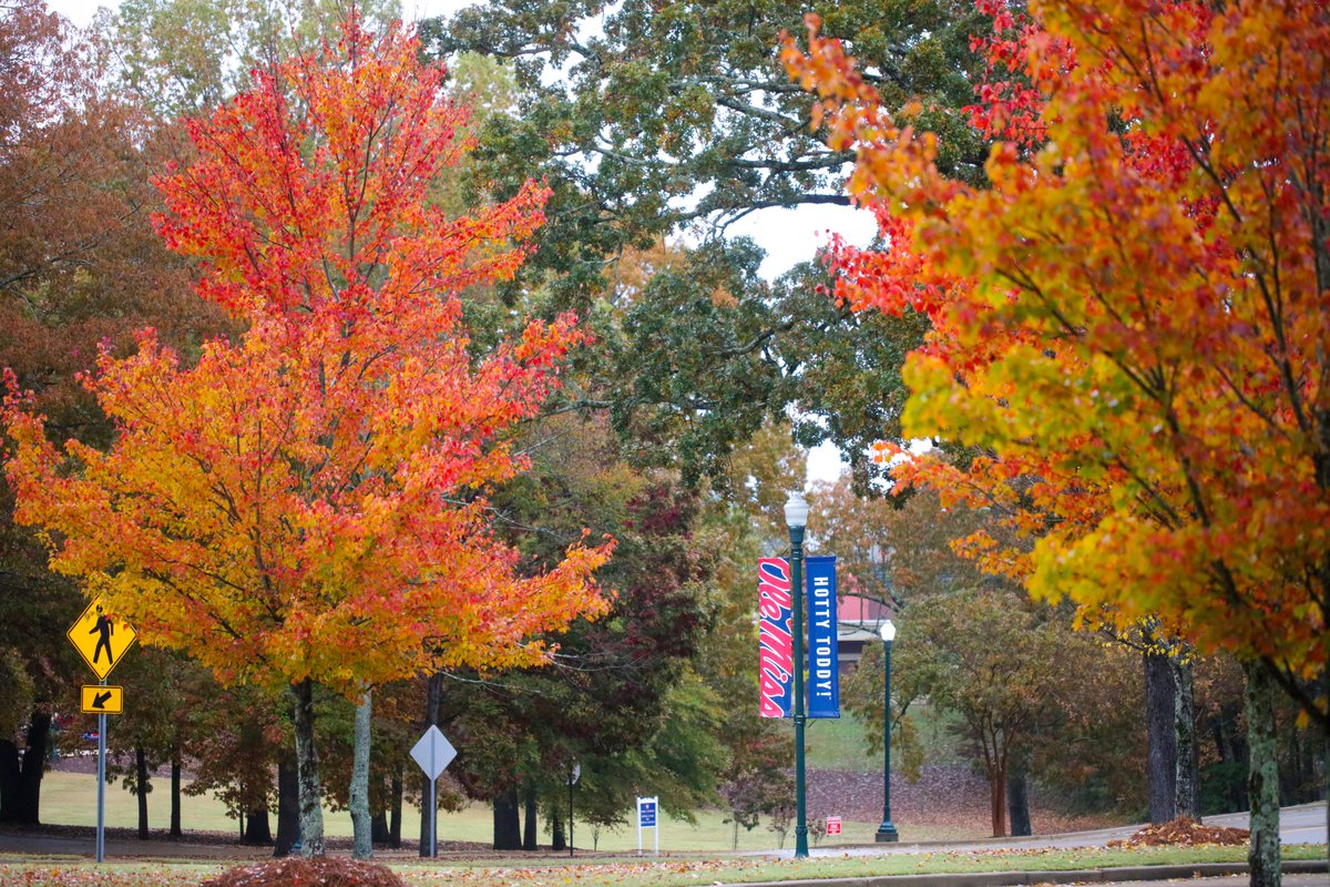 OleMissPix's tweet photo. This place is so vibrant right now. Some of the best fall colors I've seen in years!! https://t.co/xZBtlswtXs