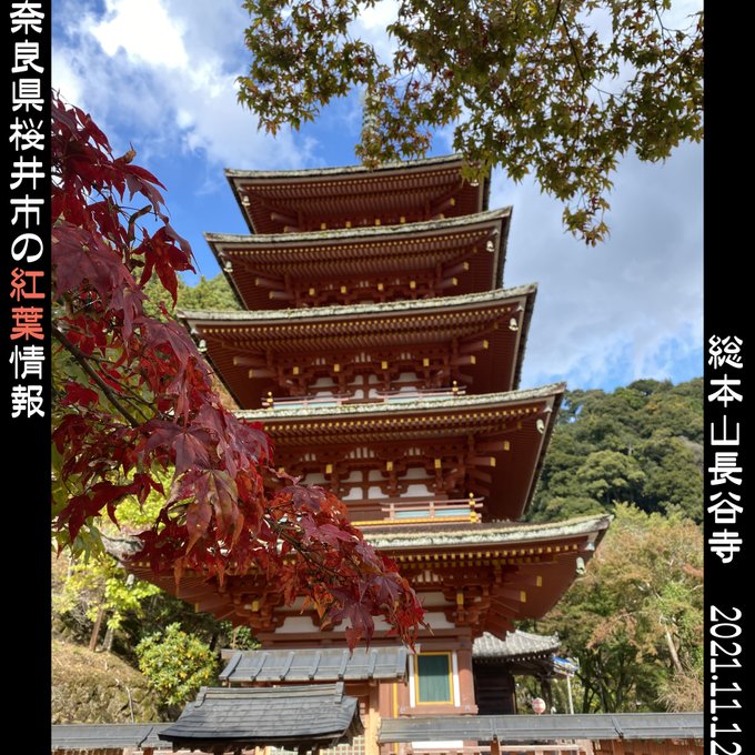 長谷寺奈良紅葉21の見頃はいつ 混雑や駐車場情報も ヒデくんのなんでもブログ