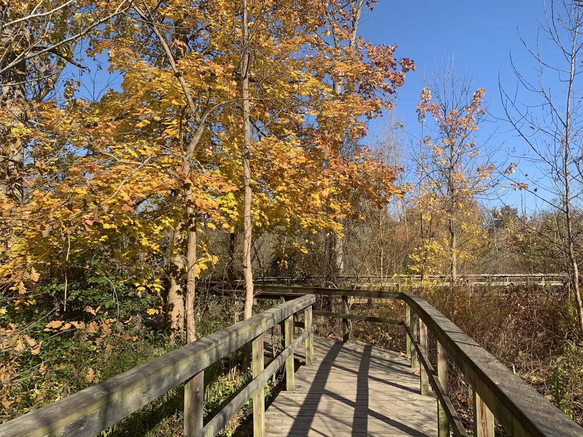 HHDental's tweet photo. Contest Time! Good dental hygiene is one of many parts of a healthy lifestyle, and so is staying active. We challenge you to go for a walk and send us a picture of the fall colours to events@heritagehousedental.ca.
#HHDental #FallColoursChallenge #DentalHygiene https://t.co/jEQ2phrgJi
