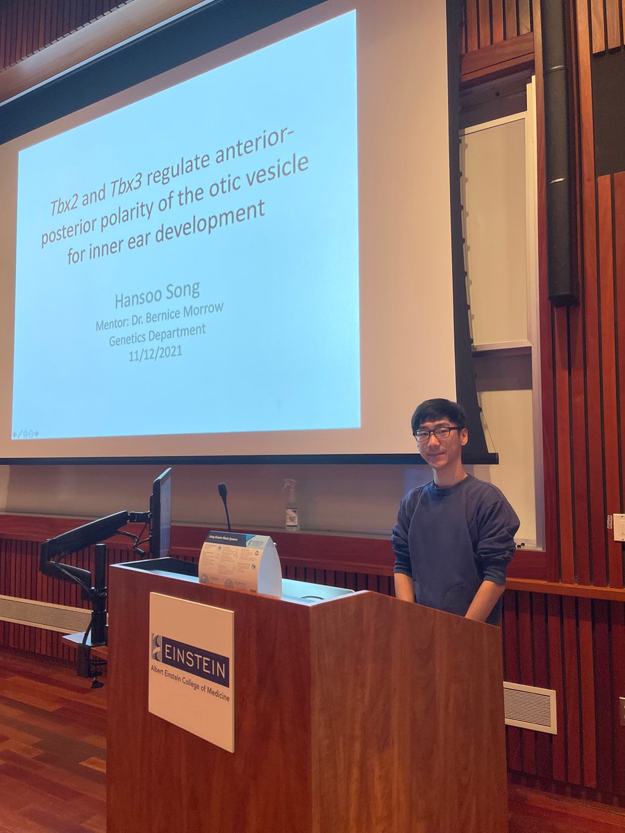 EinsteinGenes's tweet photo. Hansoo Song from Morrow lab is presenting his beautiful project on inner ear development at #EinsteinGenetics WIP!
Youβd like to know more?
Here it is!
https://t.co/EQYHhuExLv
#InnerEarDevelopment #Tbx2 #Tbx3
@EinsteinPhD @EinsteinMed https://t.co/MMrfU4f3VN