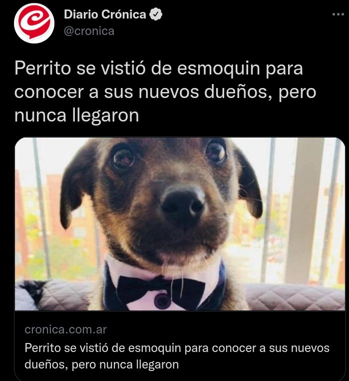 fabipa90's tweet photo. Listo, mi día está completamente arruinado. https://t.co/OQLpvO0HSl