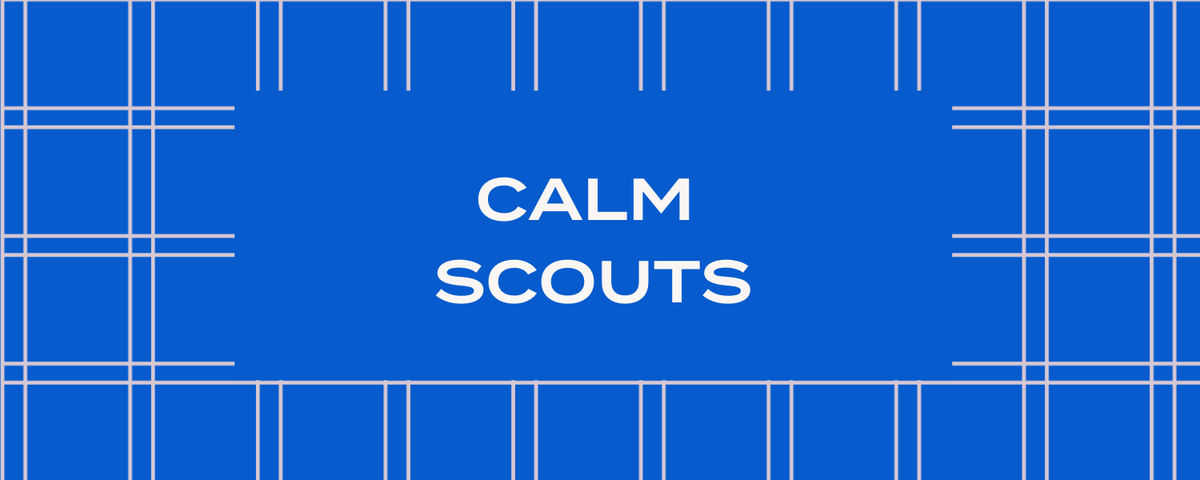 calmfund's tweet photo. Announcement:
Our long-awaited scout program is live!

The overarching goal is for our scout program to be an explicit on-ramp to becoming an investor at Calm Company Fund.

Ready to join? https://t.co/a8fpZTTGnw

OR read more below 🧵 https://t.co/0crQx85dh4