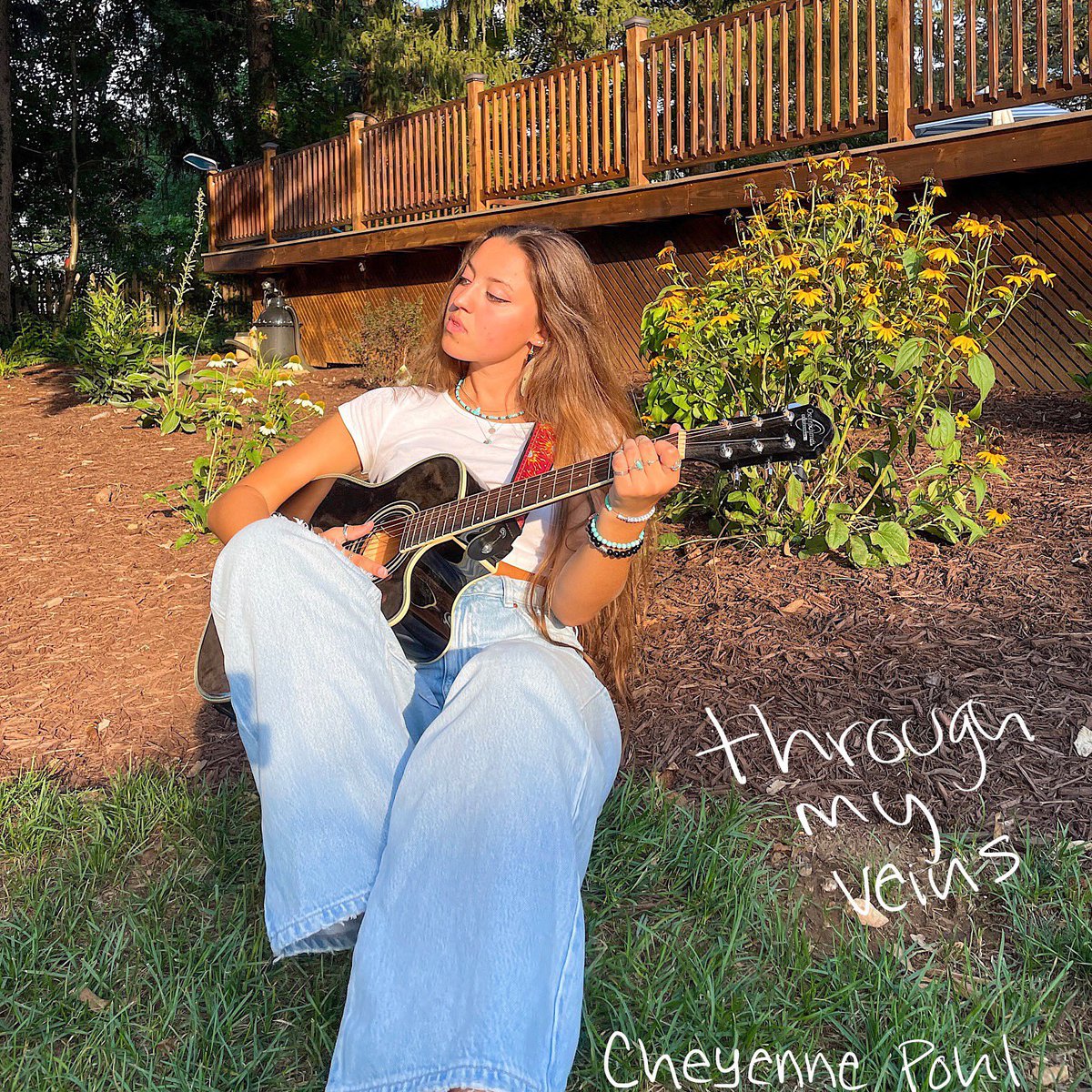 Cheyenne Pohl tweet media