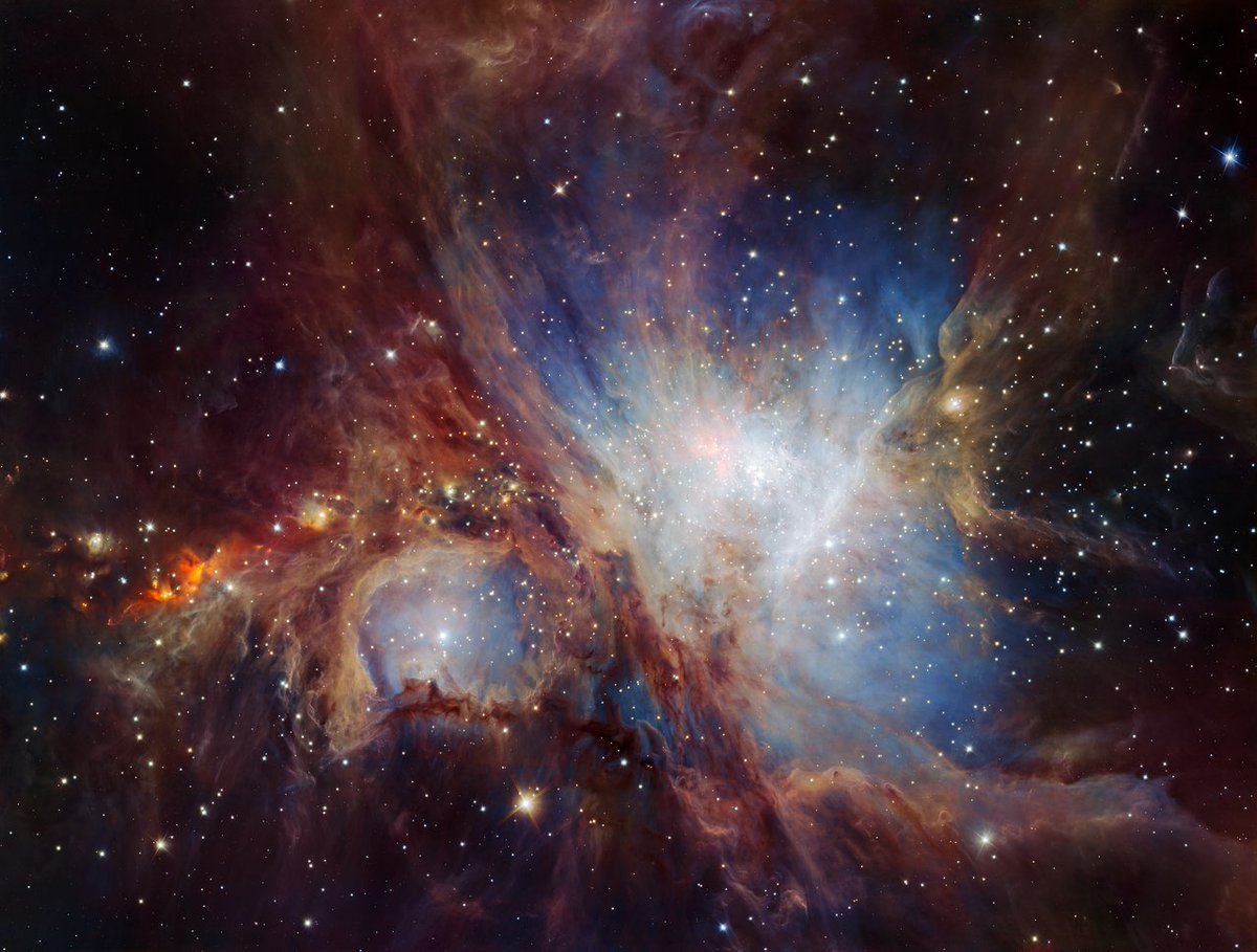 A look inside the Orion Nebula revealed a surprise: 10 times more substellar objects forming than expected. These could be failed stars or rogue planets without stars. The nebula is part of the Orion constellation & is visible from Earth!🤩 #NebulaNovember exoplanets.nasa.gov/news/1365/spec…