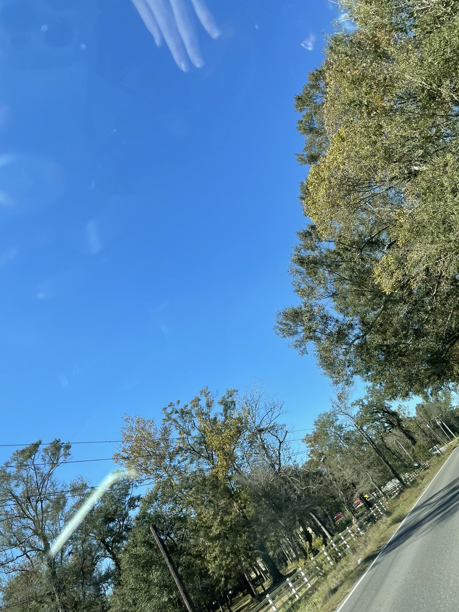 excuse me, iPhone 🤦🏼‍♀️