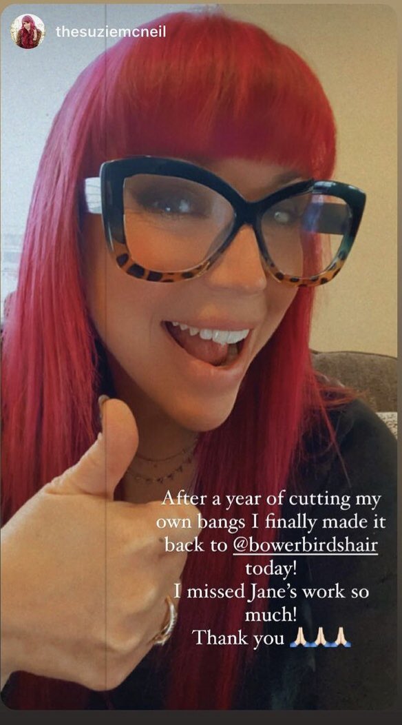 BowerBirdsHair tweet media