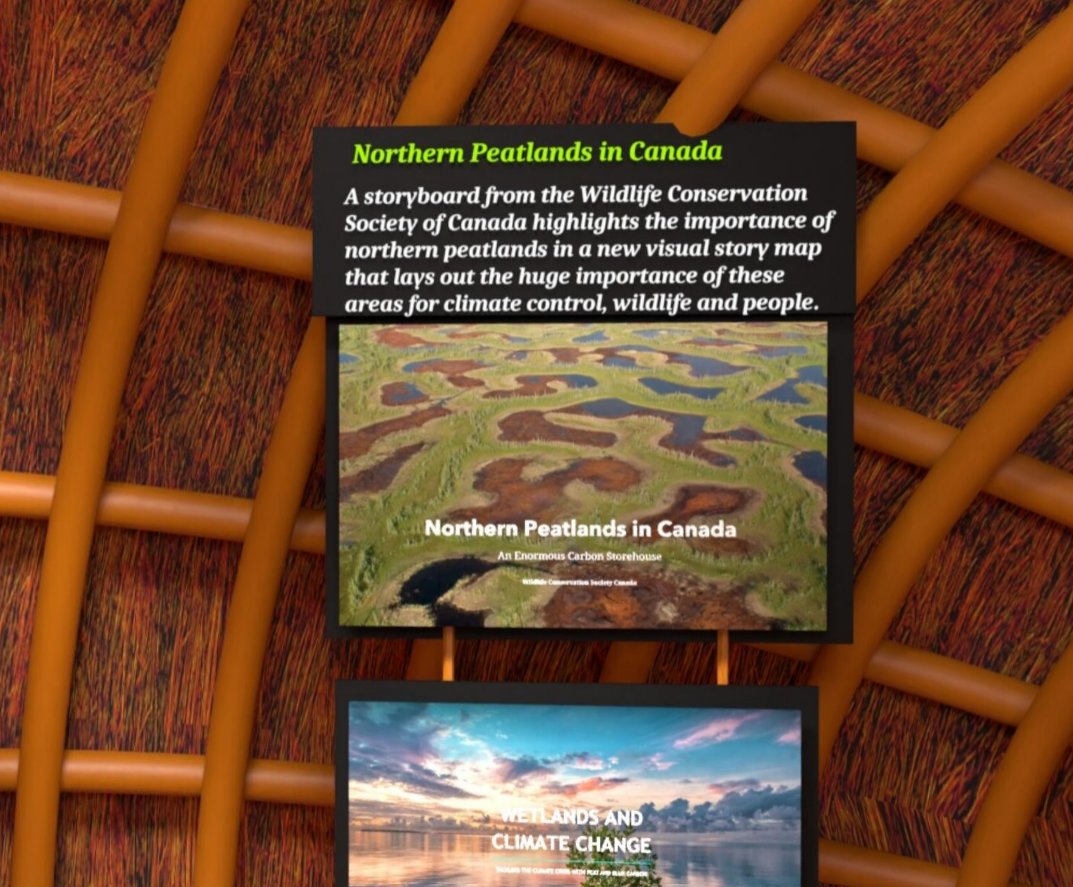 lorna_h1's tweet photo. After a very busy 2 weeks of #Peatlands and #IntactForests at #COP26 online, I'm frazzled. Escaped to the virtual #PeatlandPavilion for a bit and it is such a calming space! Lots of beautiful peatland photography and I found our Northern Peatlands Story Map! @WCSCanada @megsmaps https://t.co/Hj663F1CEh