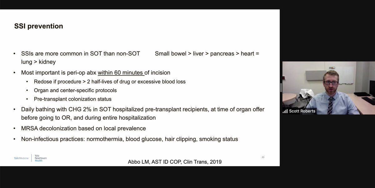 maricar malinis tweet media