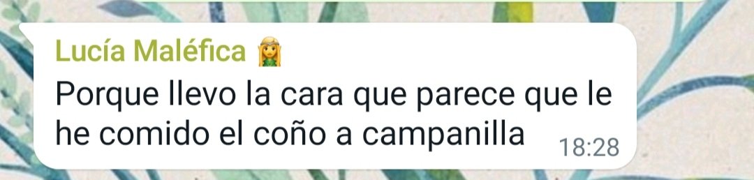 maagda15's tweet image. Hoy se sale. Cómo la echo de menos, joder.
