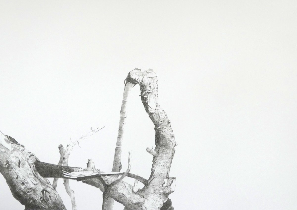 allister_jo's tweet photo. I'm proud to announce that my Broken series of #lithographs have been featured in an article in the 4th edition @steeljackdaw in which I talk about my practice and the inspiration behind these works. 

https://t.co/tZTkJOwy83

#trees #jomcallister #postiveaction #broken https://t.co/UwFhvM5NHz