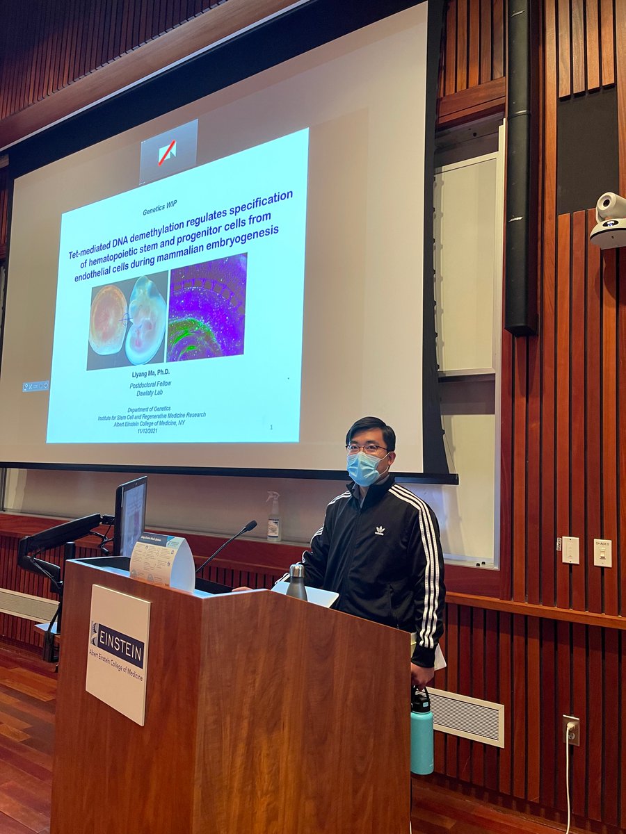 EinsteinGenes's tweet photo. Liang Ma @LennyLiyangMa from @MDawlaty lab is talking about the functions of Tet enzymes on hematopoietic development.
You can learn more from here!
https://t.co/OC71vGew44
#EinsteinGenetics @EinsteinMed @EinsteinPhD https://t.co/j9bW4V961K