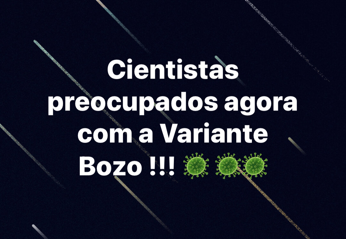 blogdocamilo tweet media