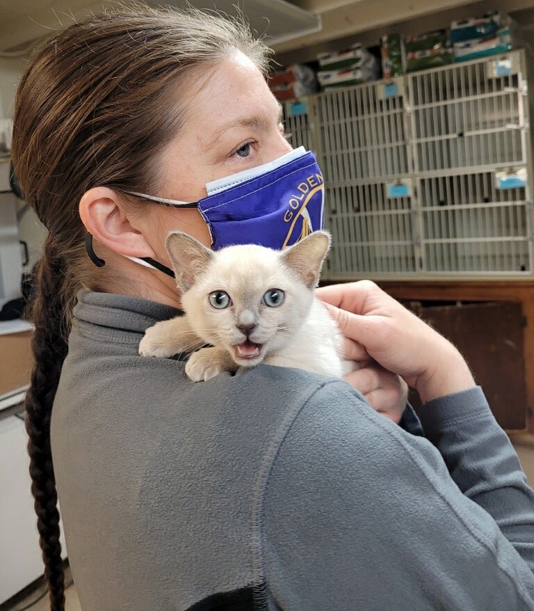 Nob Hill Cat Clinic (@NobHillCatSF) / Twitter