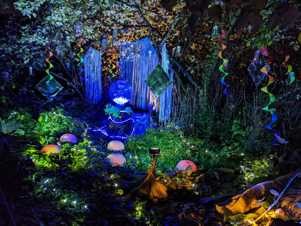 Am at Syon Park for their winter illuminations, and umm, the fuse may have just blown.