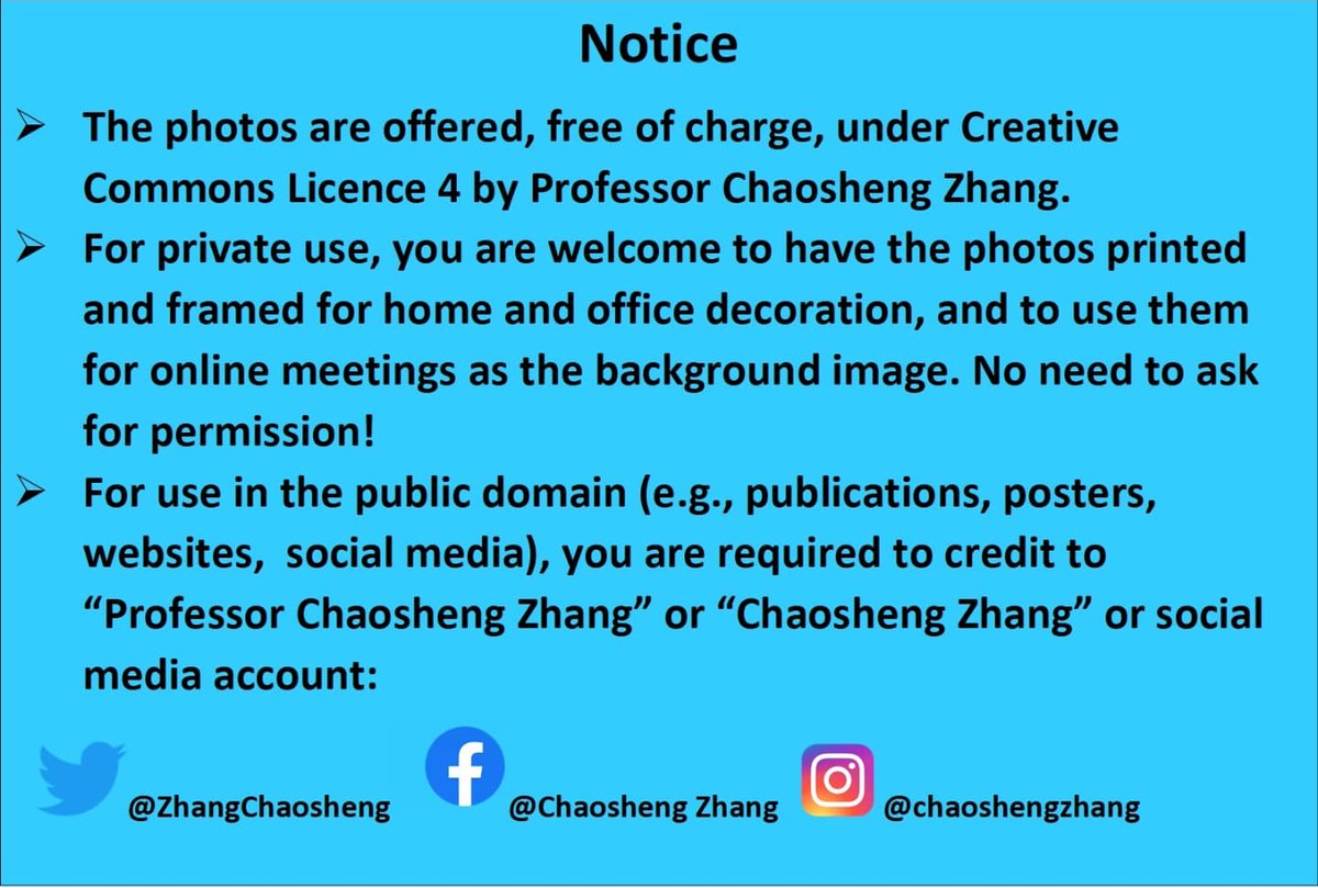 Chaosheng Zhang tweet media