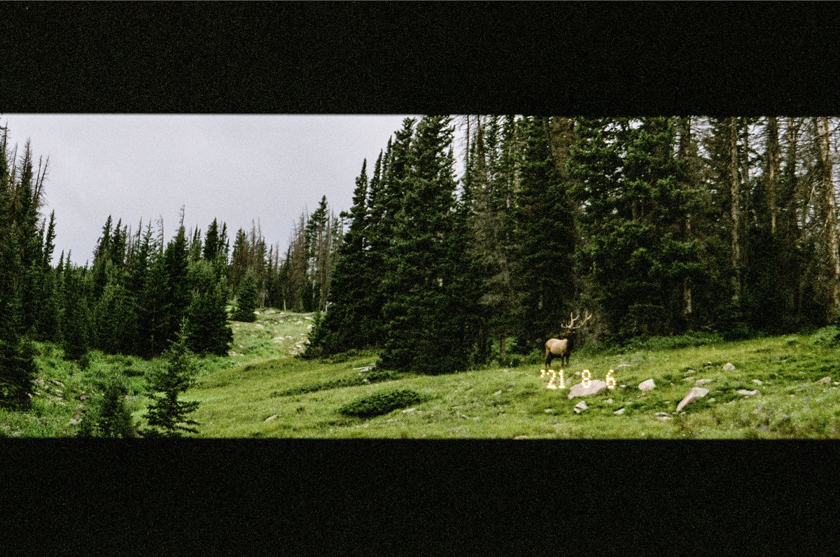 knifemakerguy's tweet photo. Rocky Mountain National Park, on Fuji Pro400h https://t.co/Tm1BSJtJnz