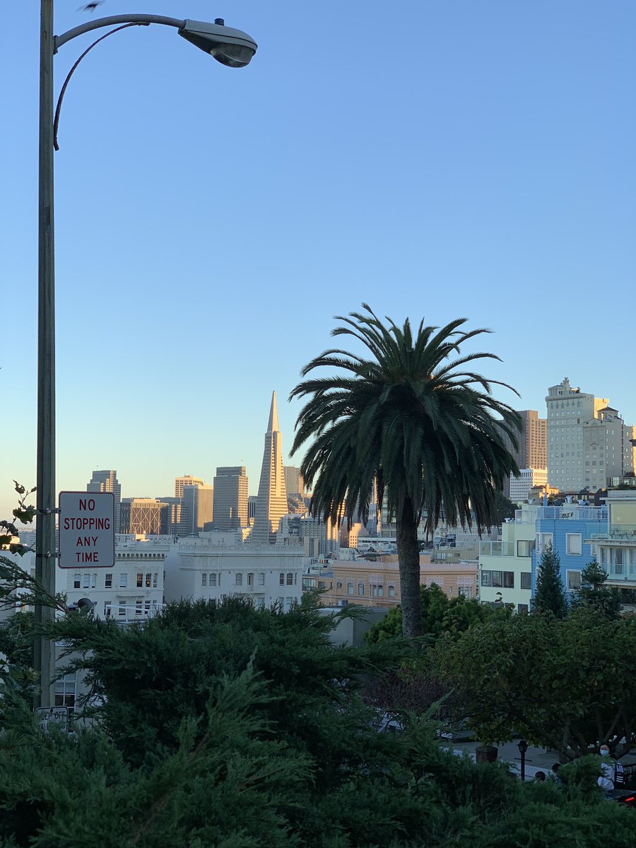 minzosh's tweet photo. Oh hey there, San Fran ☀️ https://t.co/X36ndJVDde