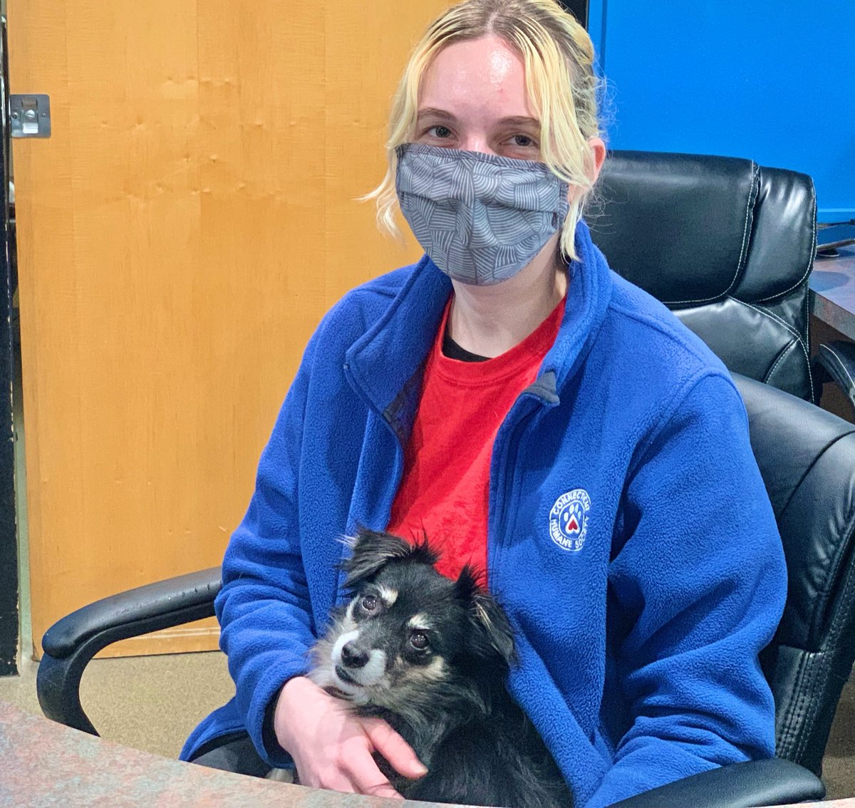 cthumane's tweet photo. Always better to work with a buddy! This senior pup is in the middle of medical treatment, and being cozy is part of his treatment!
#SnuggleIsReal #OfficeHelper #CThumane https://t.co/sliQHCqA6k