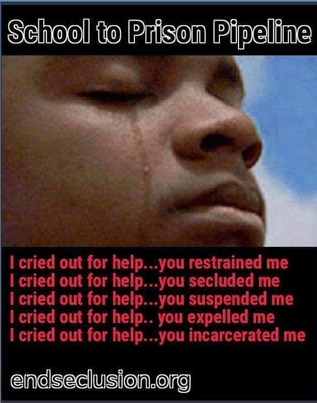 Gerry🧠🌱 tweet media