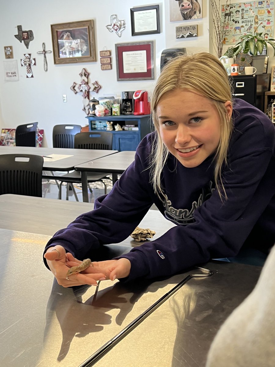 kcalvetsci's tweet photo. We are so thankful for our graduating students who come back to share their passion and give back to our program. Practicum students are learning about reptile handling today, Thanks Connor! #cteinkisd https://t.co/5lwMvwdS7v