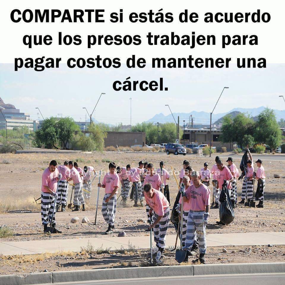 Estás de acuerdo?