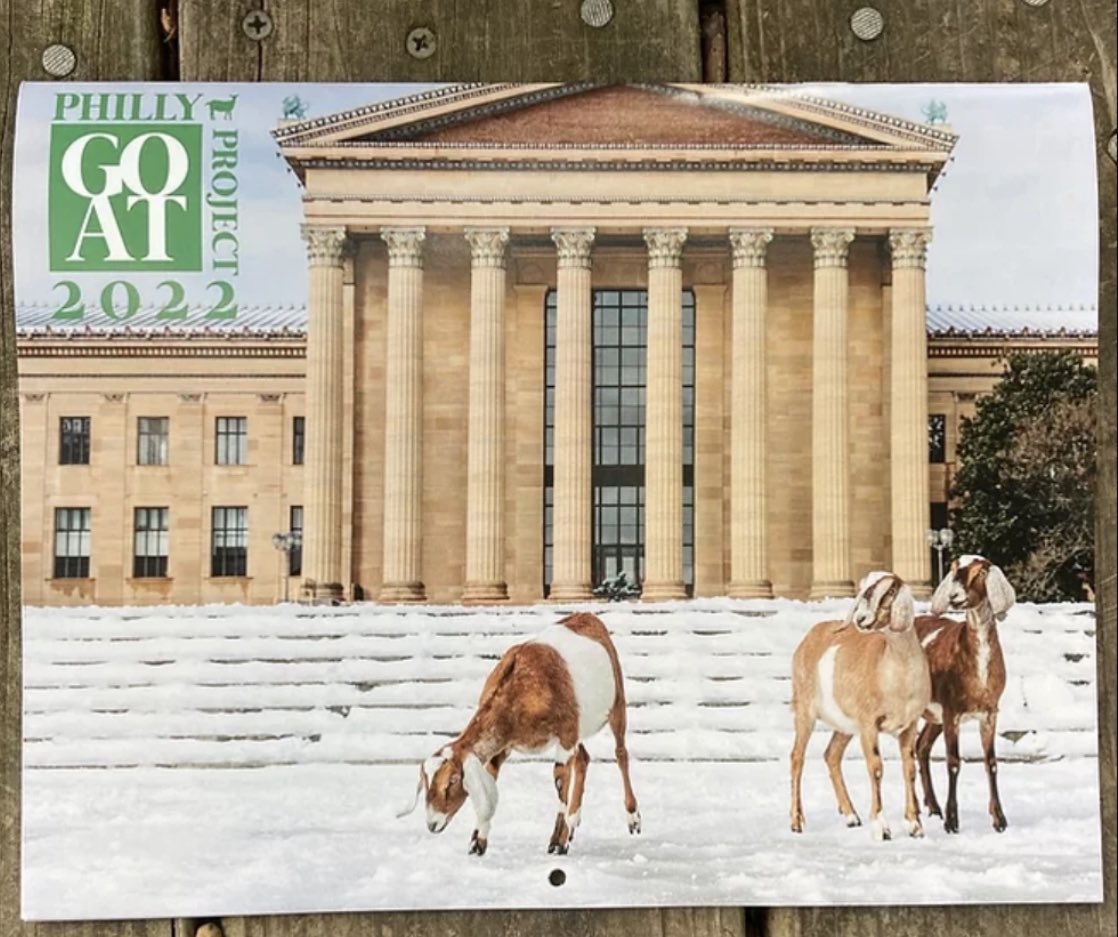 BlocDelivery_'s tweet photo. You can stop searching for the perfect holiday gift because WE’VE GOT IT! 🎁🐐🎁🐐🎁 🐐 Starting today, 2022 @phillygoatproject calendars are available on Bloc! 🗓⁣⁣ https://t.co/Xu1uCukvlG