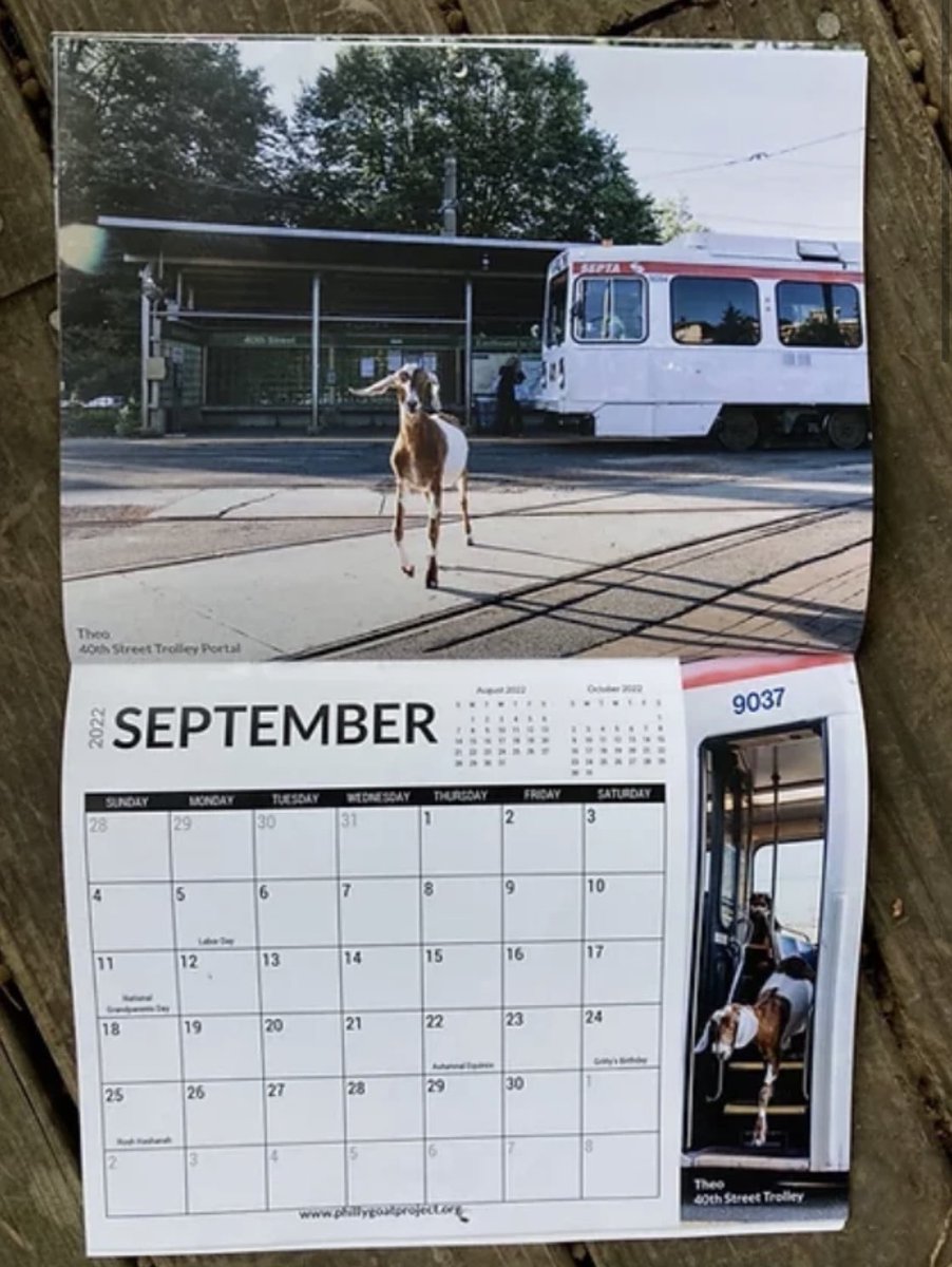 You can stop searching for the perfect holiday gift because WE’VE GOT IT! 🎁🐐🎁🐐🎁 🐐 Starting today, 2022 @phillygoatproject calendars are available on Bloc! 🗓⁣⁣